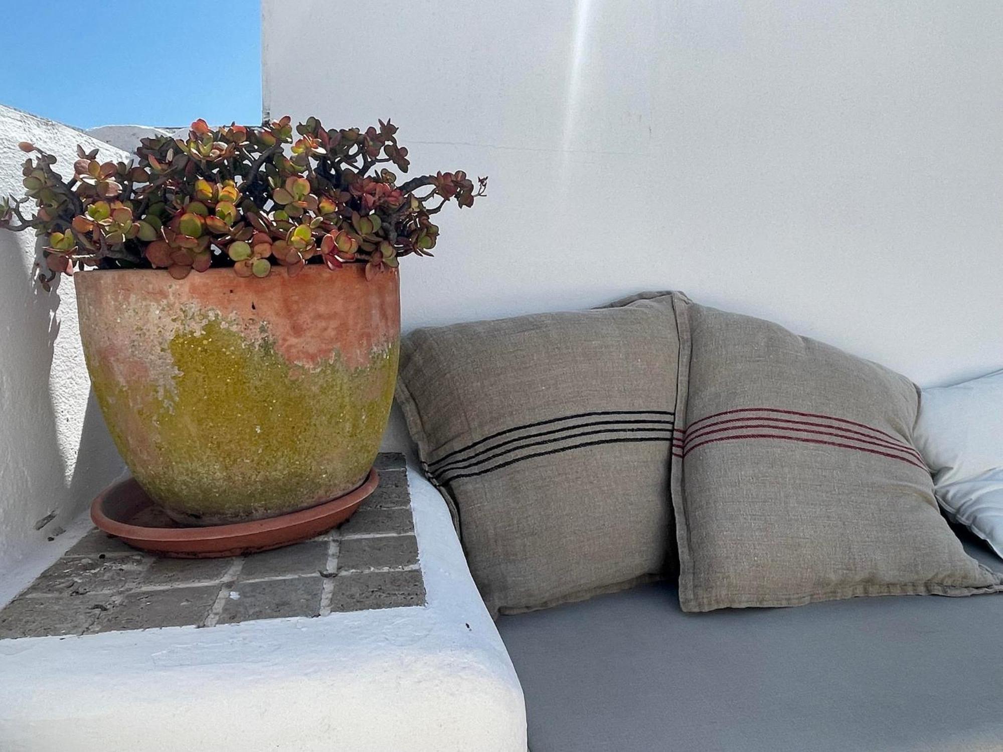 Casa Badillo - Califa Casas Vejer Villa Vejer de la Frontera Bagian luar foto